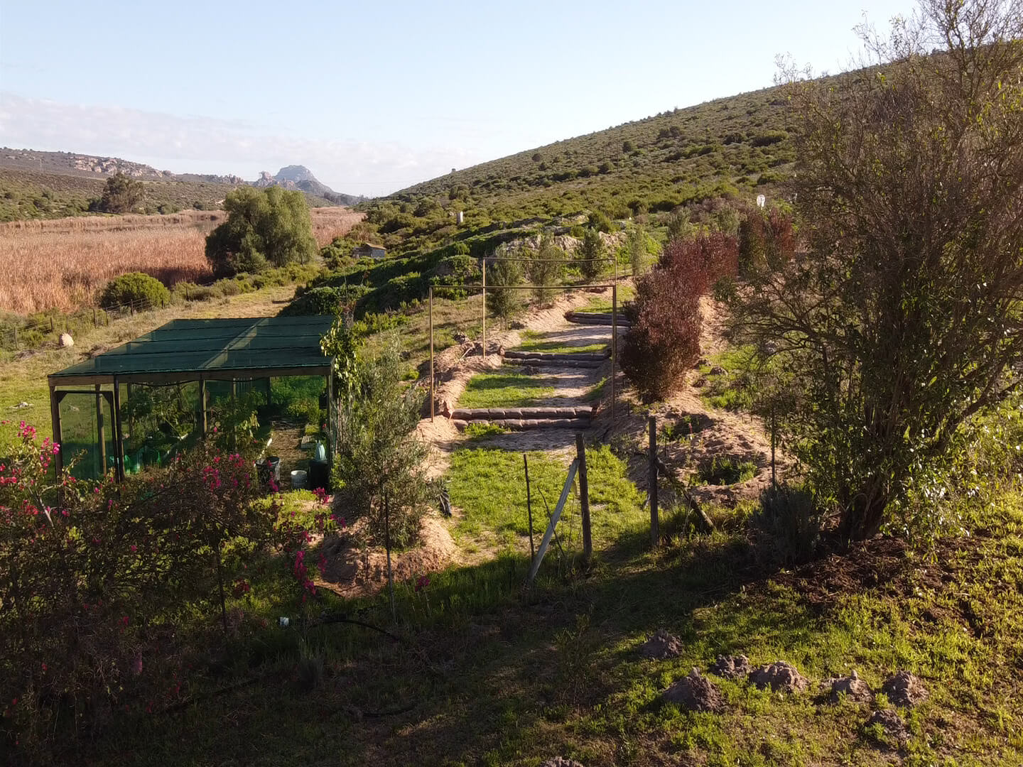 View of the farm