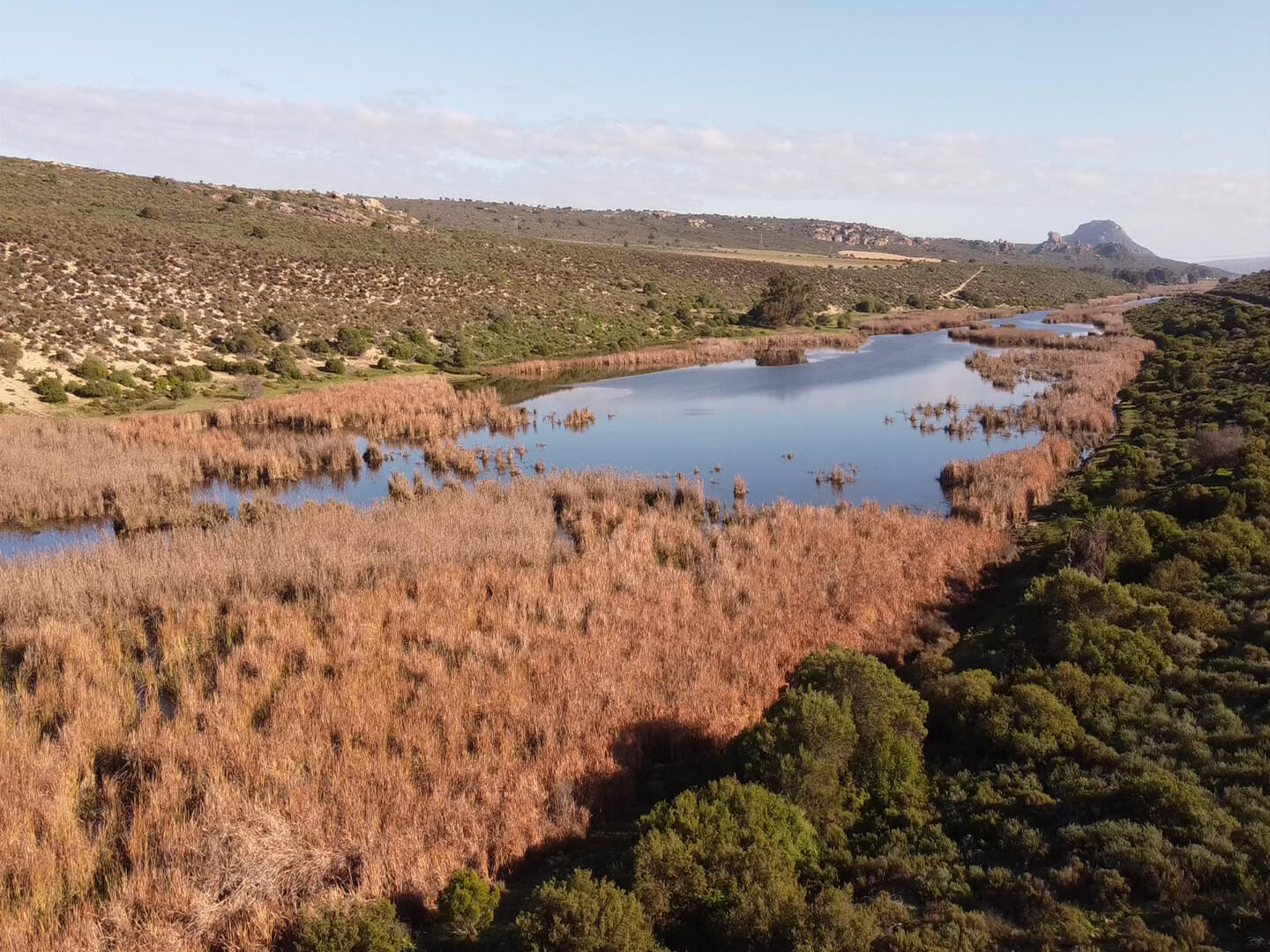 View of the farm river