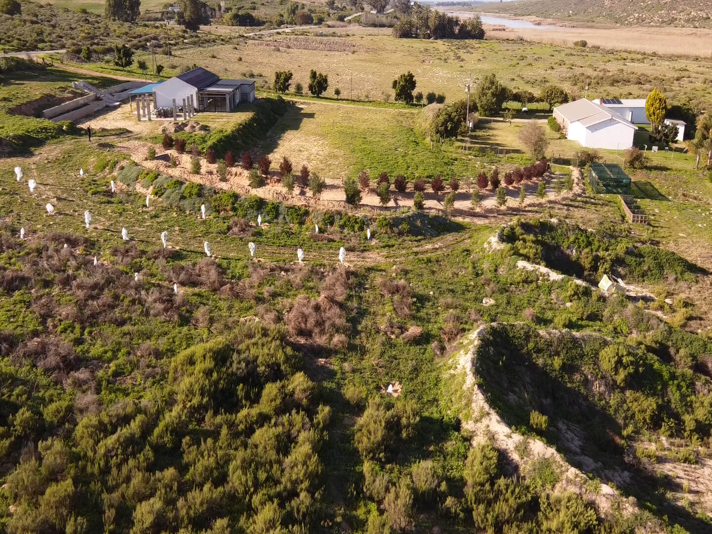 Top view of the farm